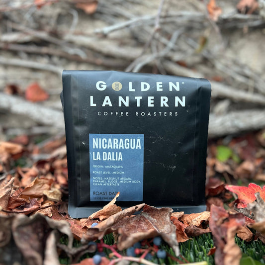 Nicaragua La Dalia